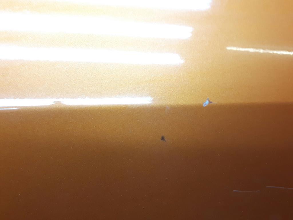 1005017141006_20200125103617.jpg