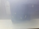 1005011291006_20200122100551.jpg