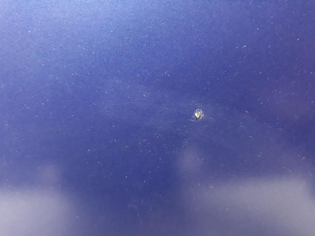 1005001351006_20191213130815.jpg