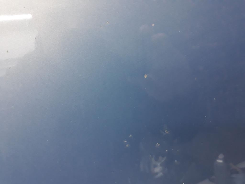 1004787681006_20191204142344.jpg
