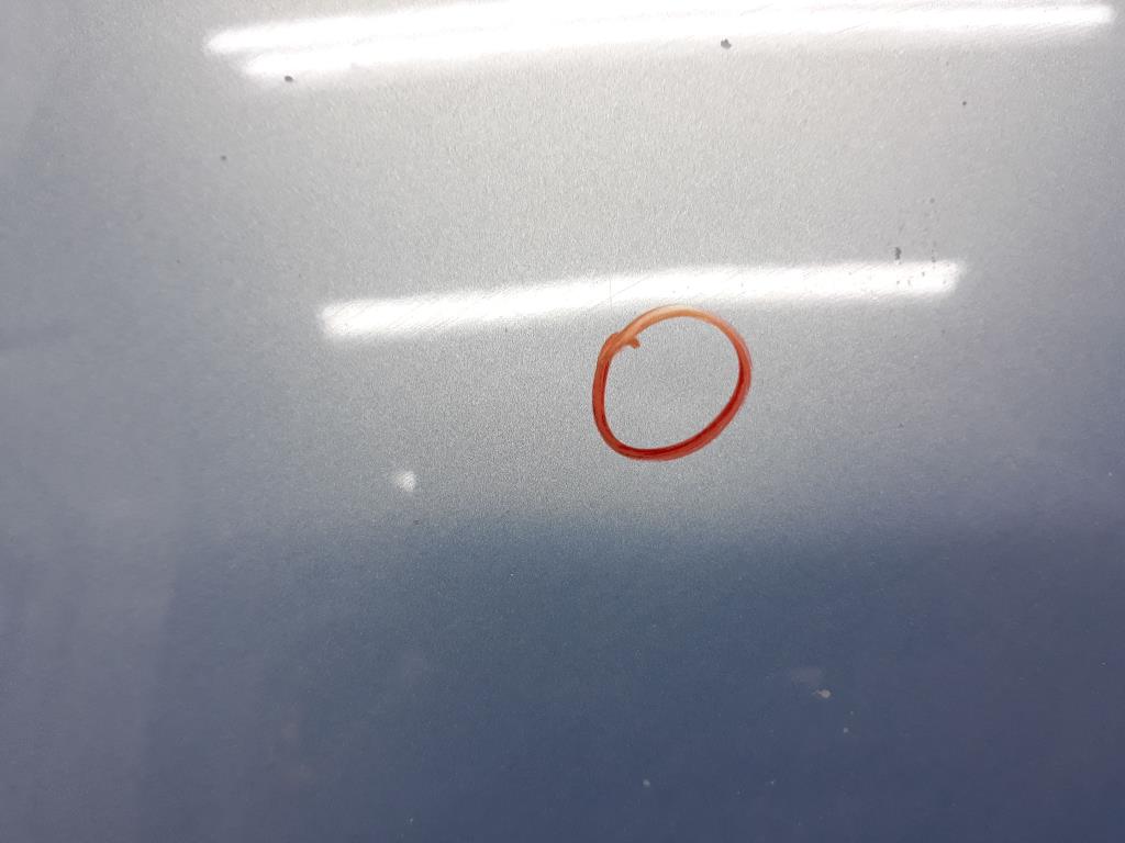 1004787681006_20191204142258.jpg