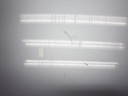 1004783201006_20191112171310.jpg