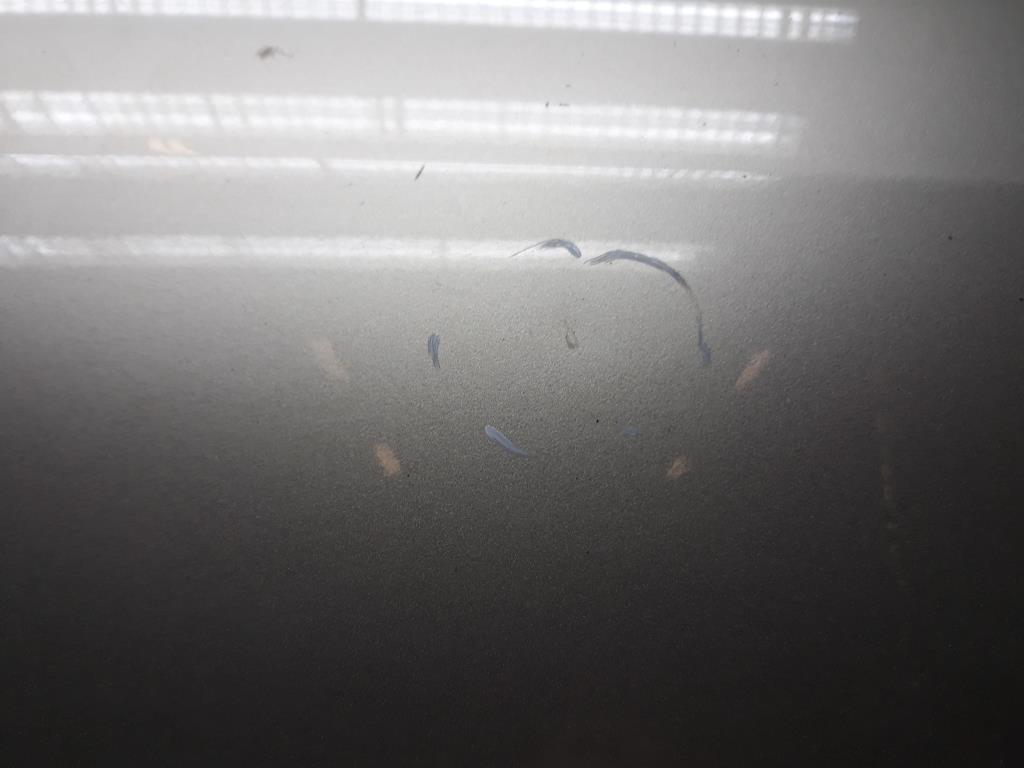 1004972361006_20191107165726.jpg