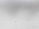 1004955121006_20191010135846.jpg