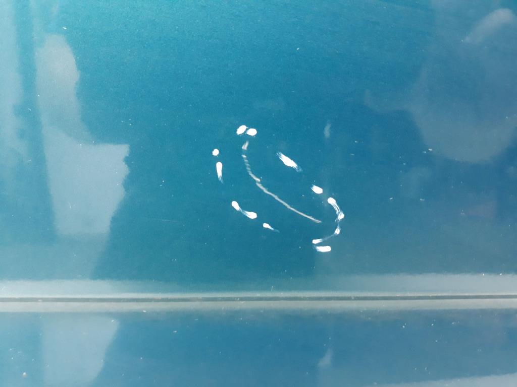 1004874991006_20190628124216.jpg