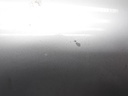 1004848091006_20190502104119.jpg