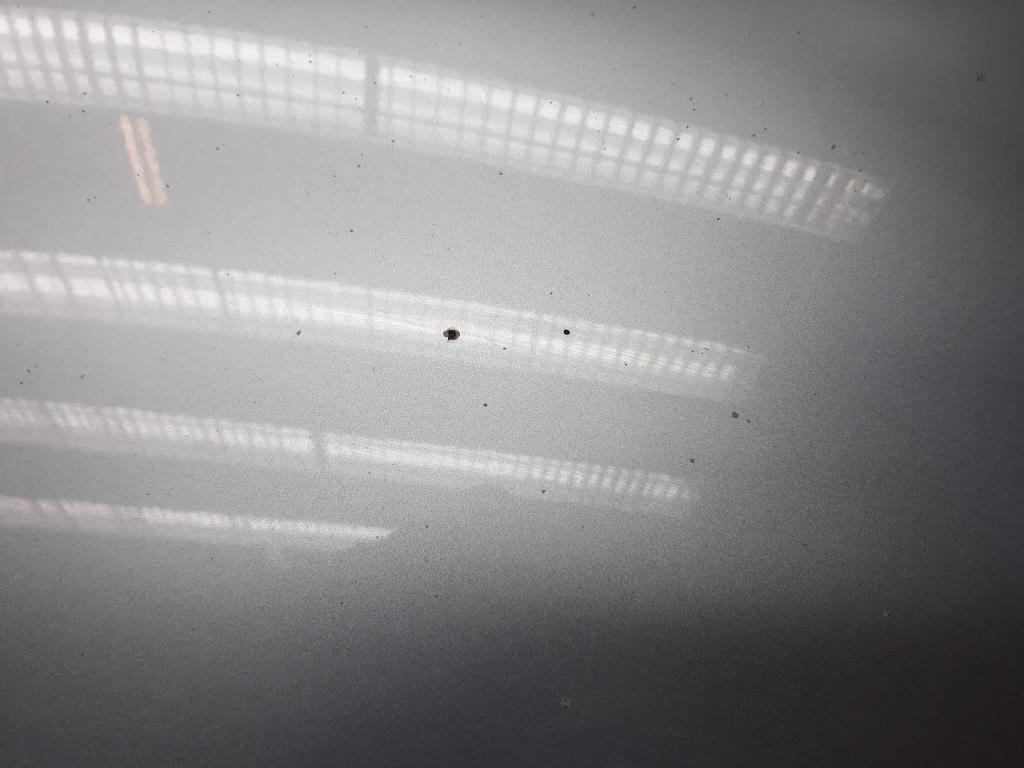 1004838041006_20190410094700.jpg
