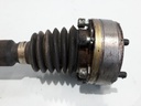 1004832491006_20190403131235.jpg