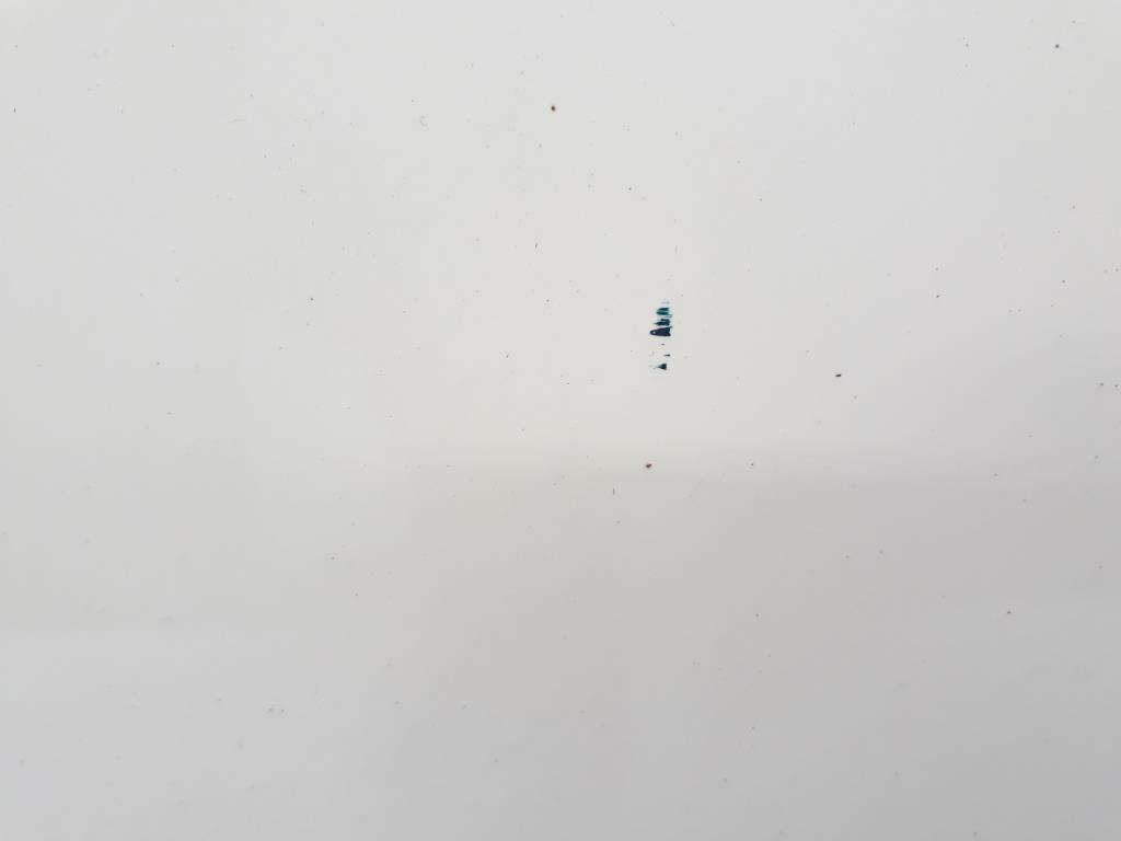 1004819451006_20190313110914.jpg