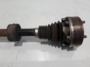 1004815021006_20190228085308.jpg
