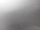1004796491006_20190206090517.jpg