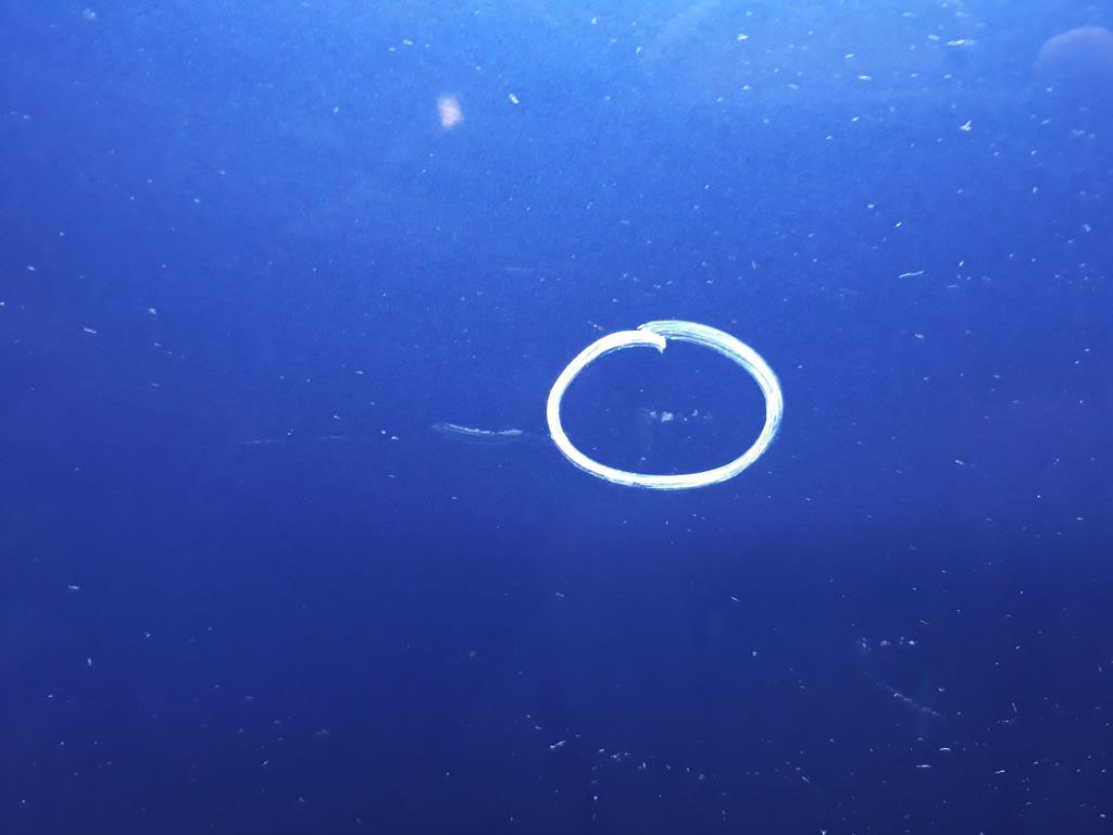 1004778201006_20190111152643.jpg