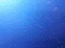 1004762101006_20181217163720.jpg