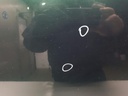 1004752031006_20181126095803.jpg