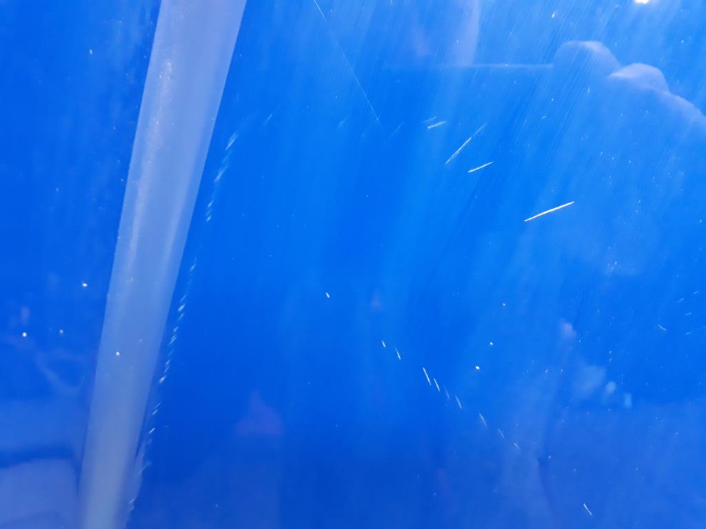 1005097271006_20200423104136.jpg