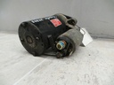 20200929_124502.JPG
