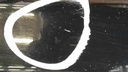 1000284952068_20190206120128.jpg