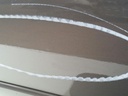 1000306202068_20190312102601.jpg