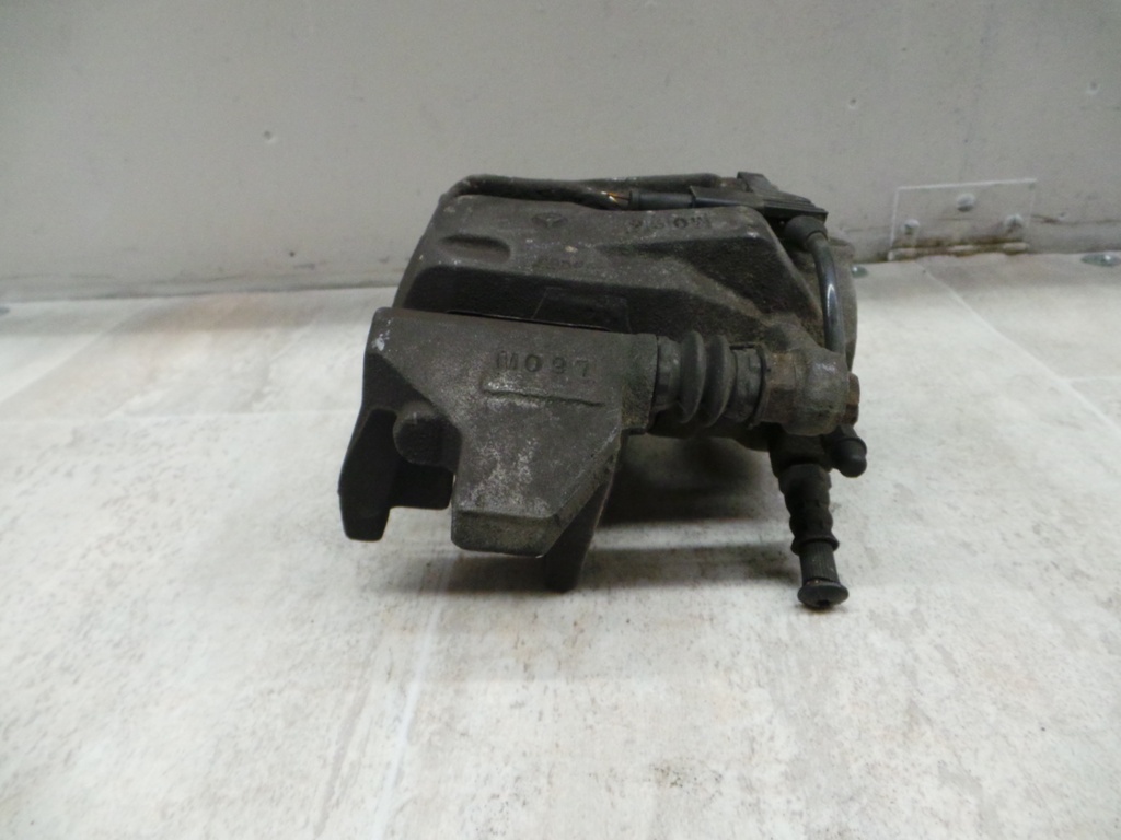 20201007_081809.JPG