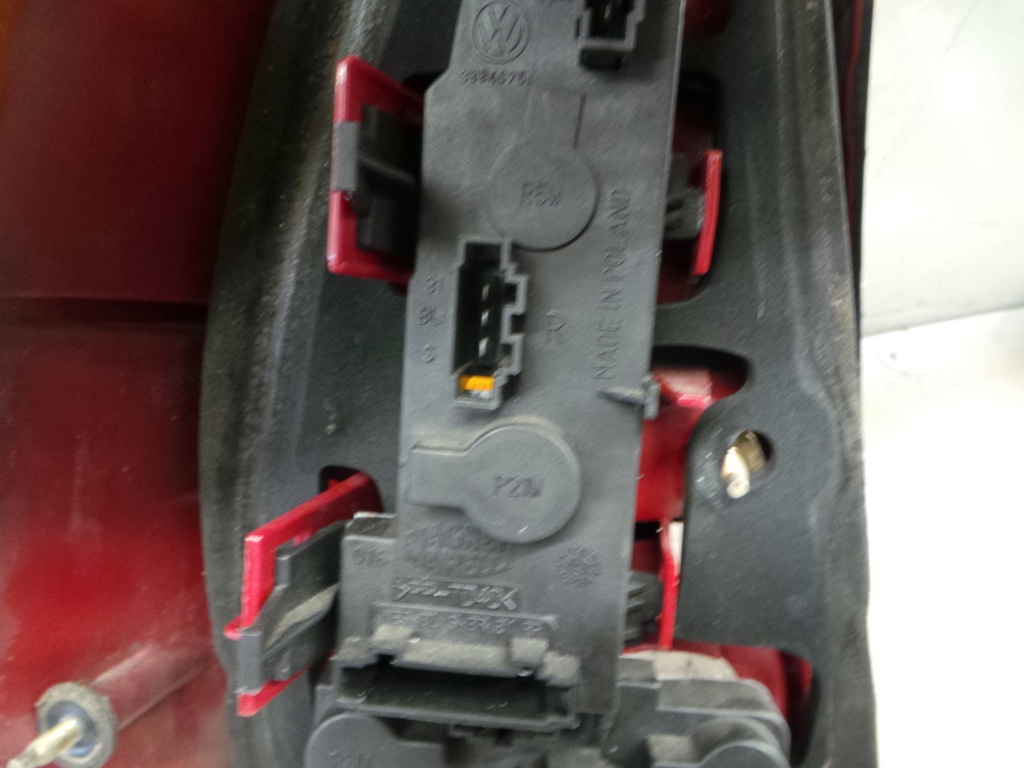 20201007_110235.JPG