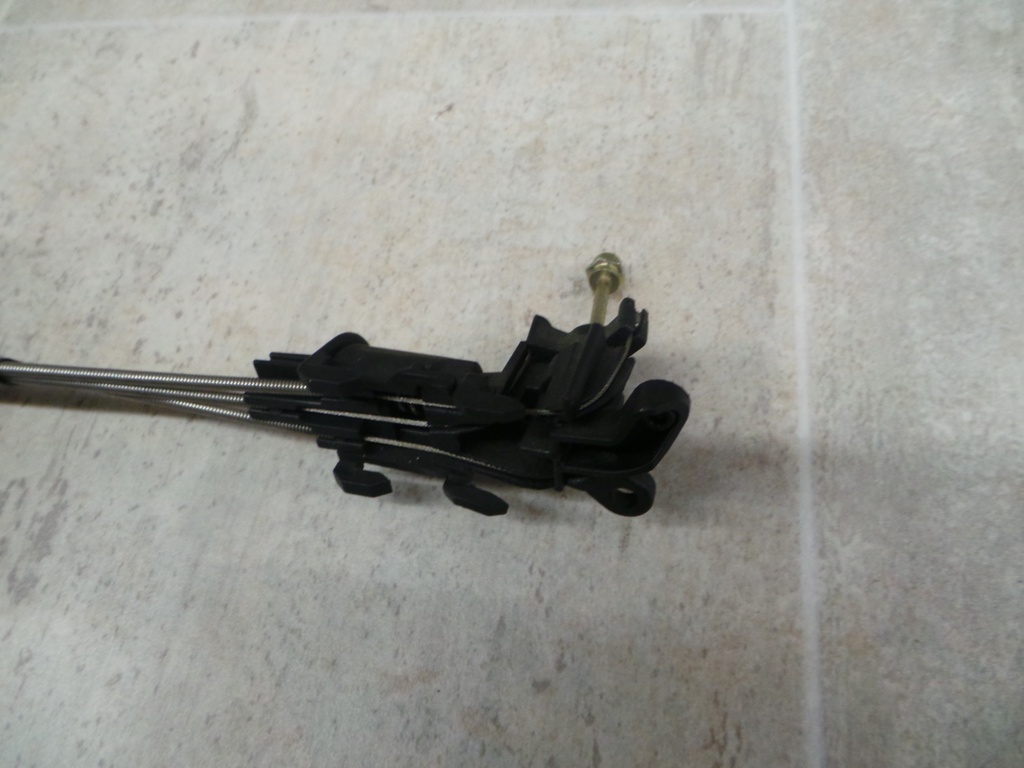 20201008_162236.JPG
