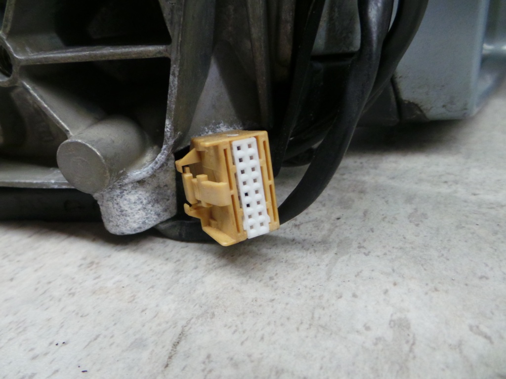 20201009_105327.JPG