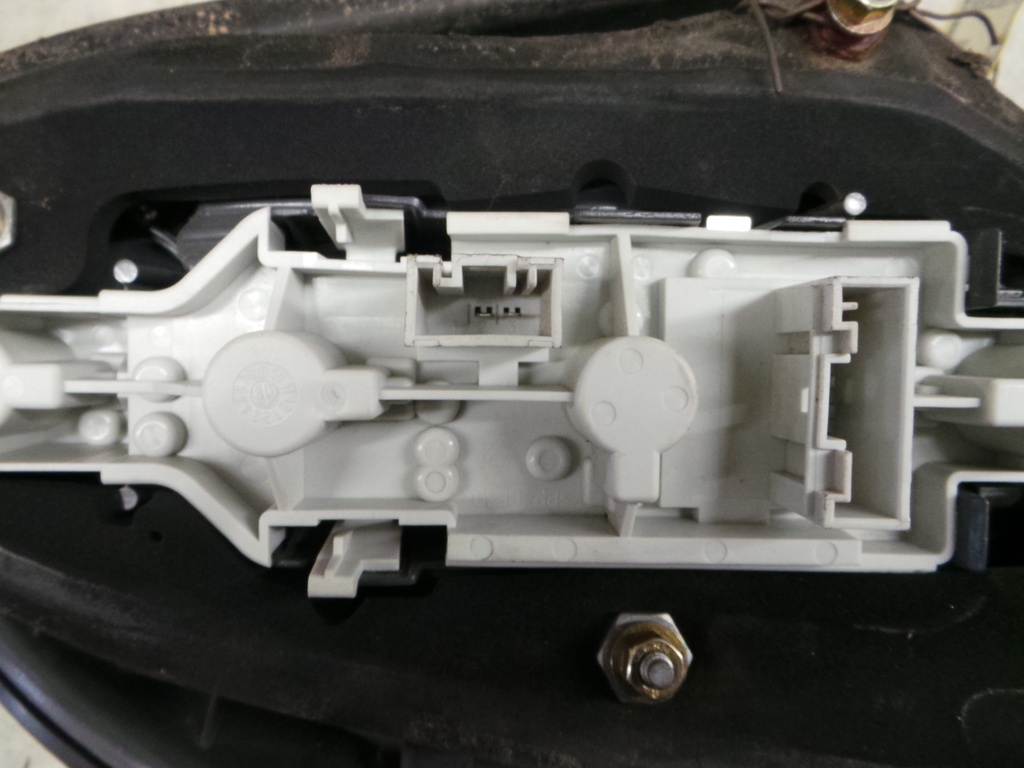 20201009_114647.JPG