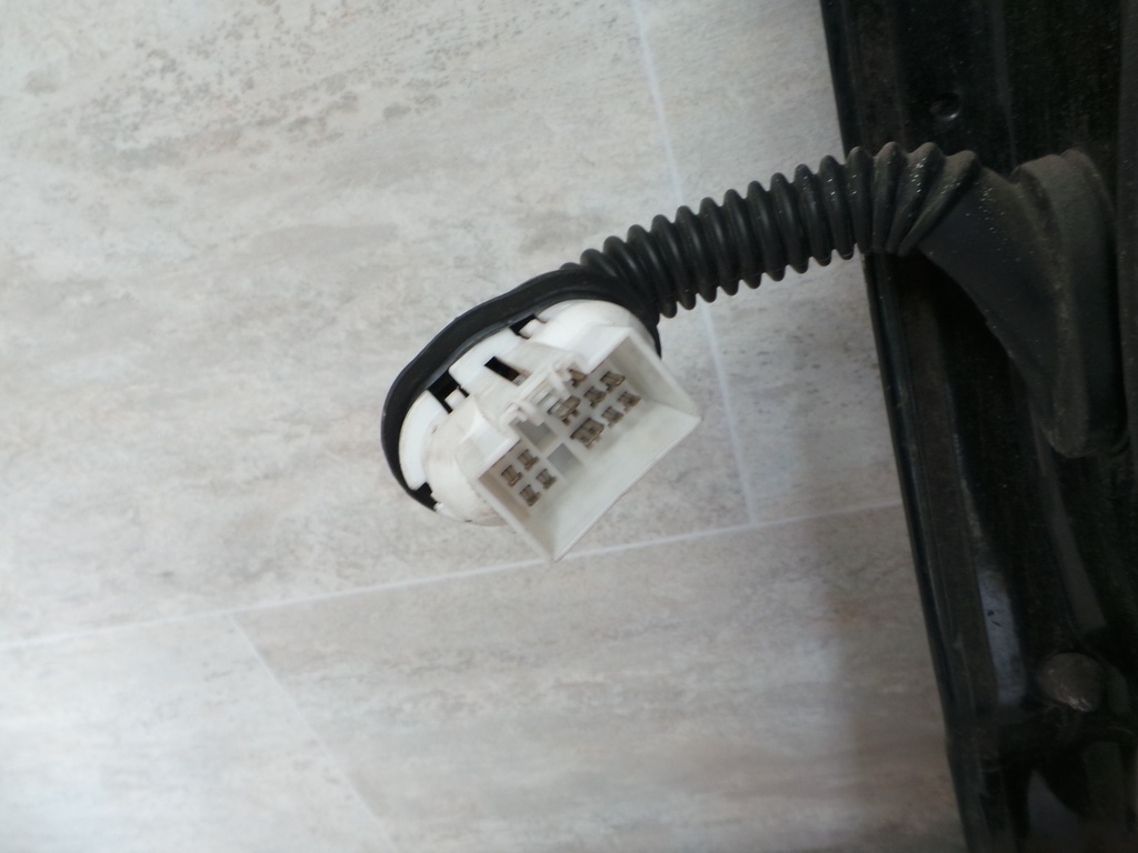 20201013_144958.JPG