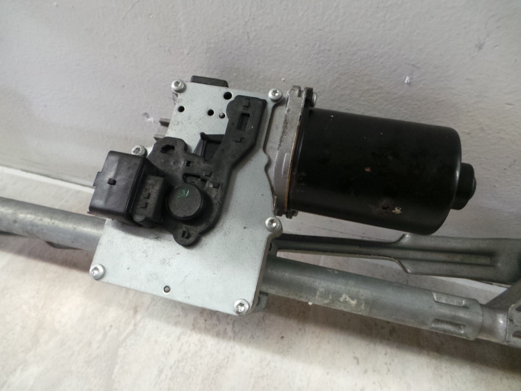 20201102_110154.JPG