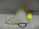 20201117_120854.JPG