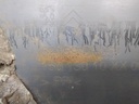 16064921387472024715031488114474.jpg