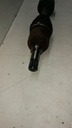 IMG_20201216_133541.jpg