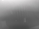 16103775901338738522841385275532.jpg