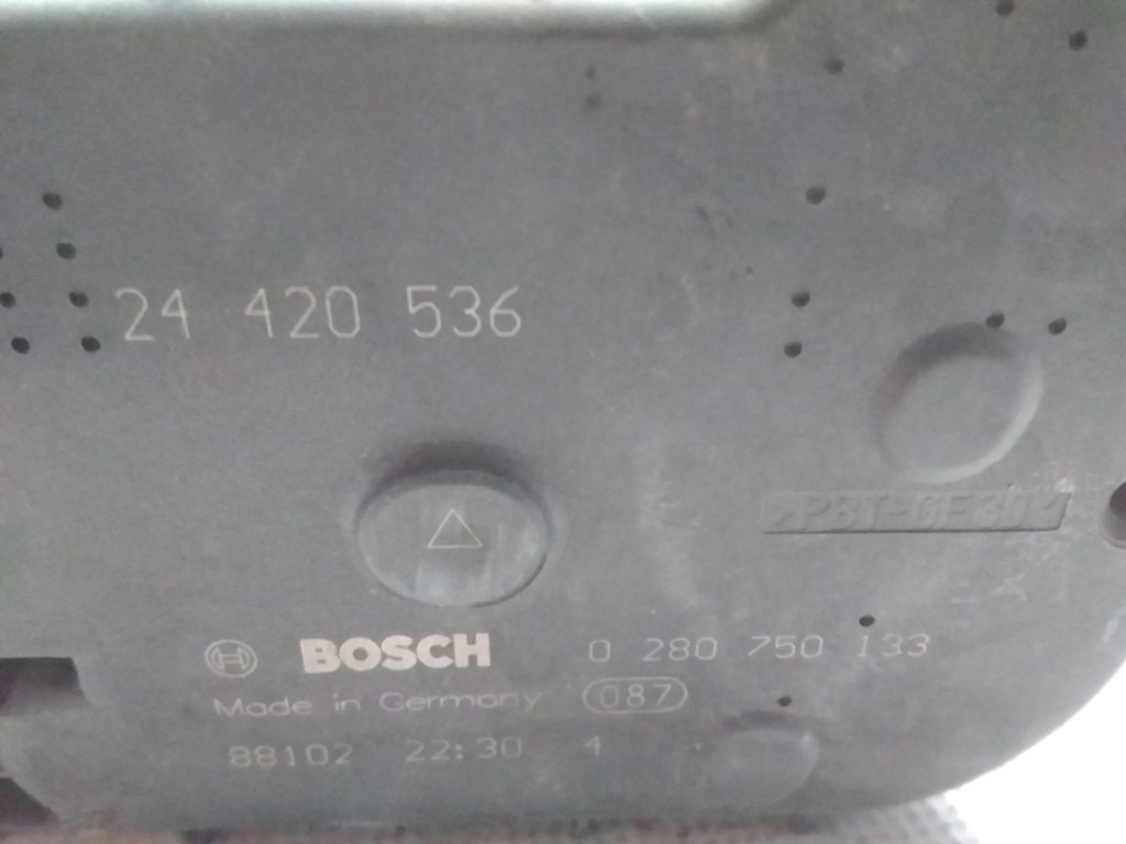 16104472982966336938067442668167.jpg