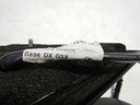 DSCN7561.JPG