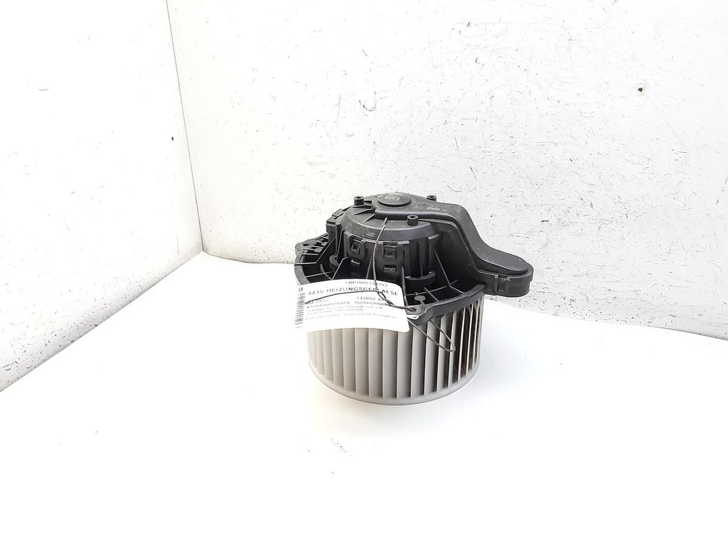 20210309_142250.jpg