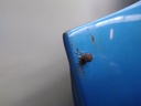 16183142506921852131303424716604.jpg