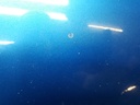 20210511_171150.jpg