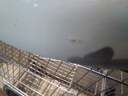 IMG_20210525_091556.jpg