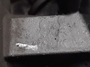 20210609_094629.jpg