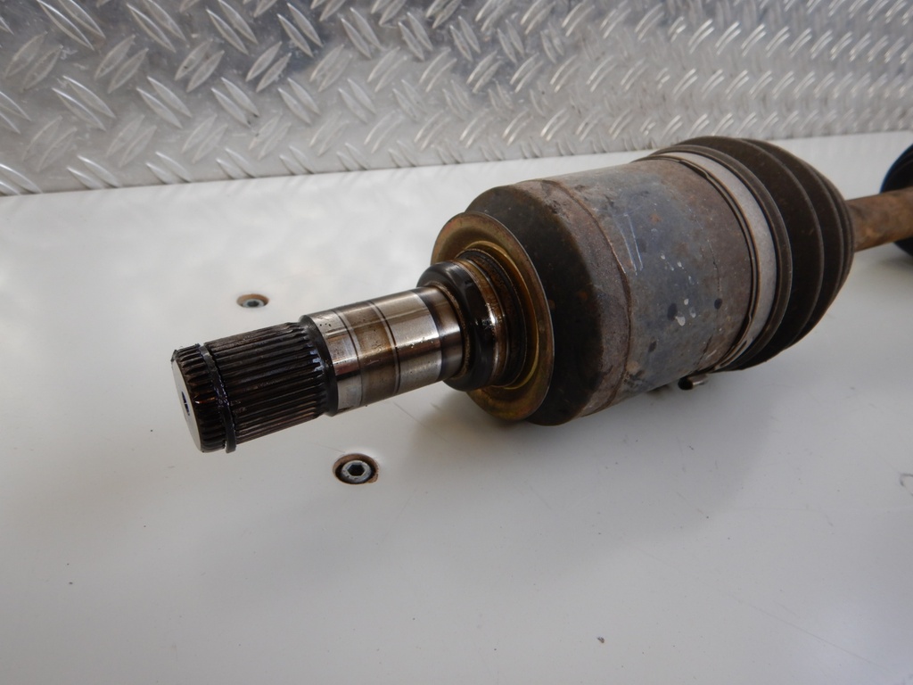 DSCN2707.JPG