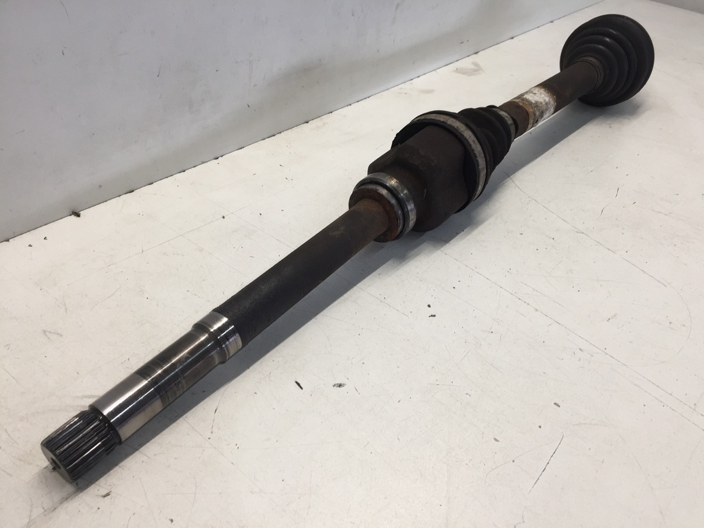 IMG_3831.JPG