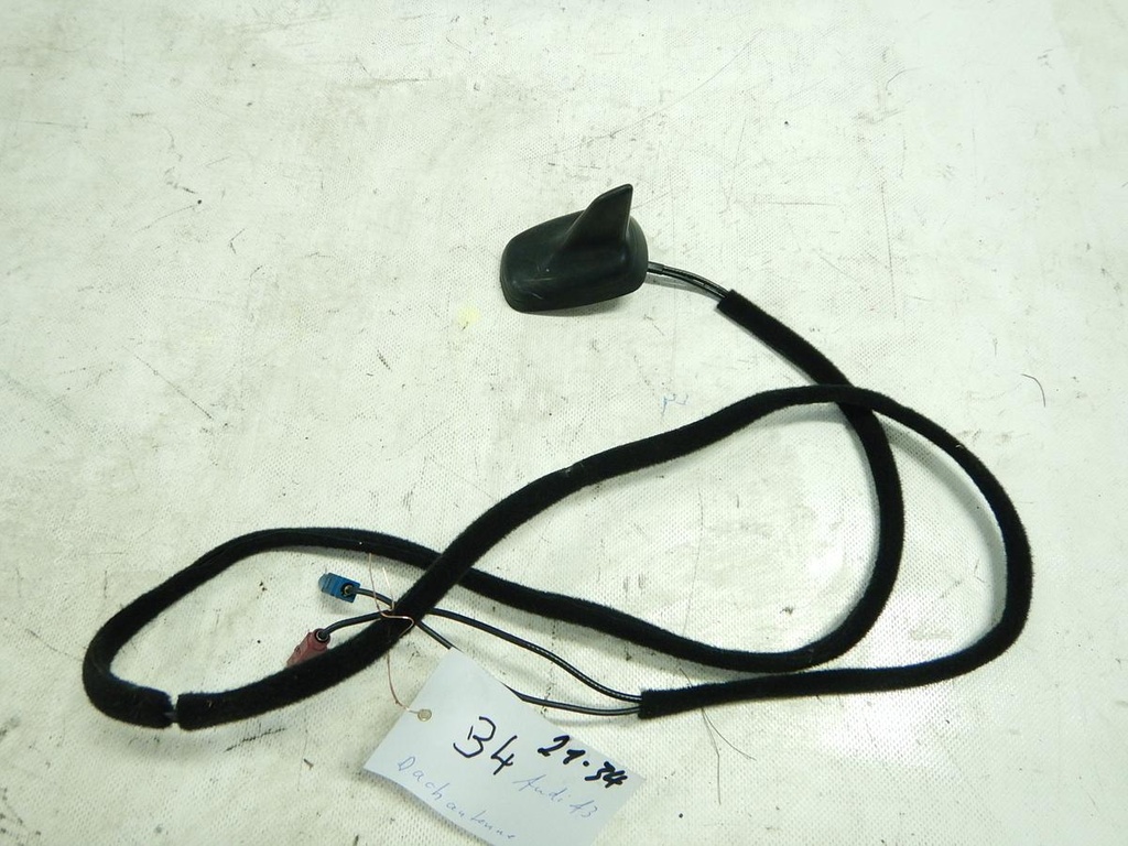 DSCN4805.JPG