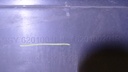 DSC02679.JPG