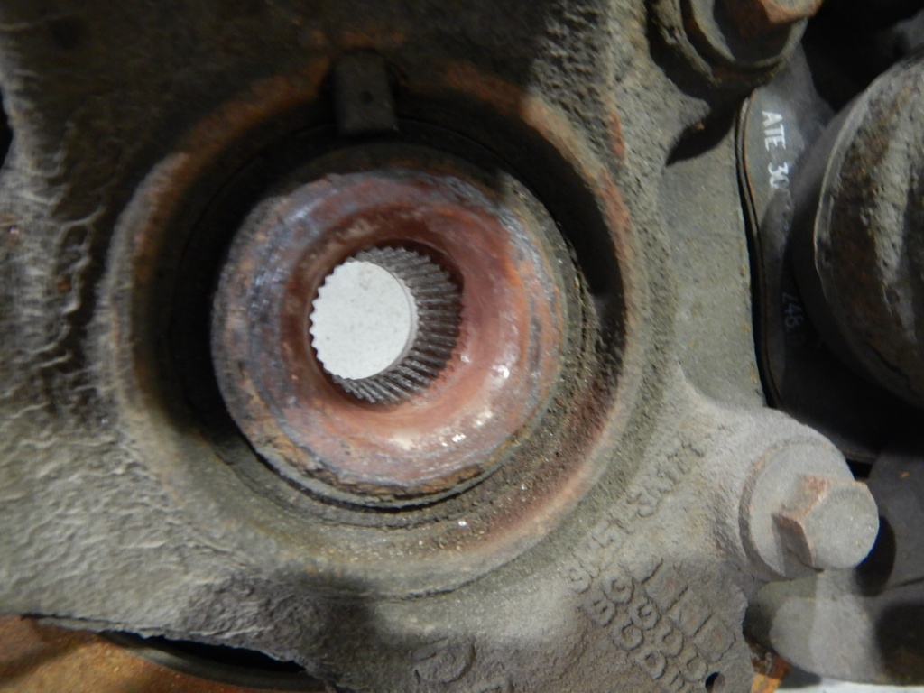 DSCN3385.JPG