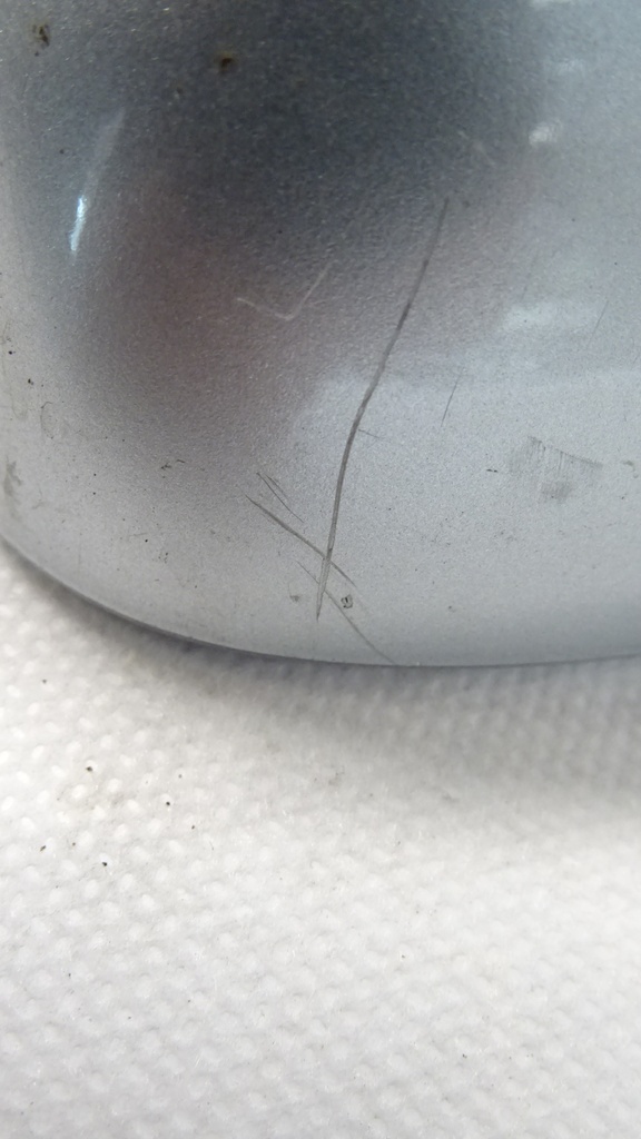 DSC05226.JPG