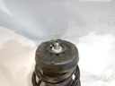 DSCN7946.JPG