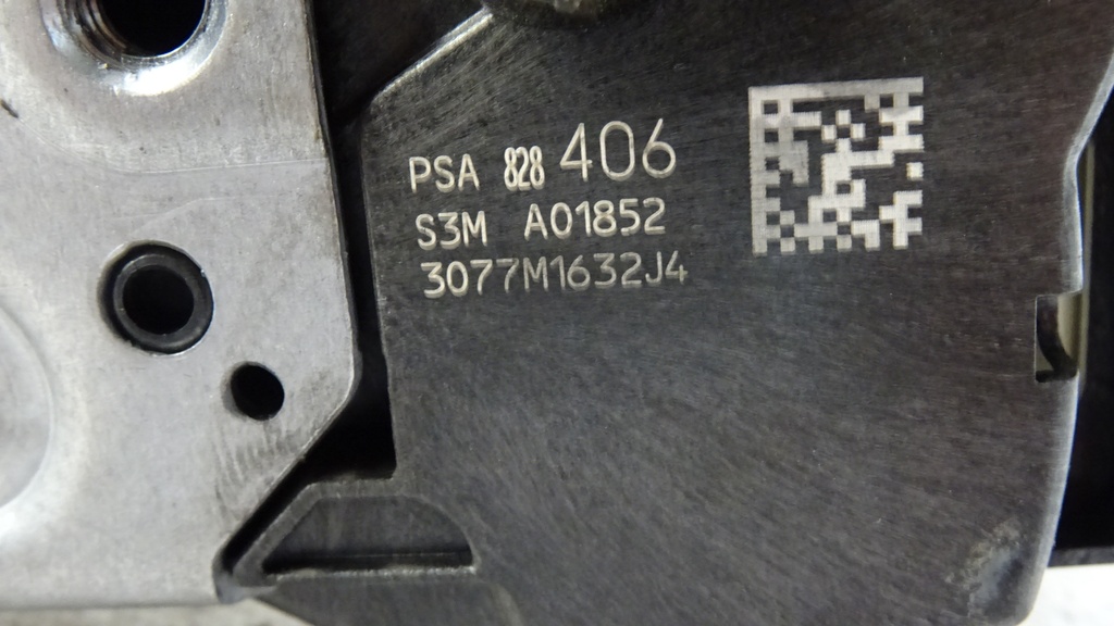 DSC08242.JPG