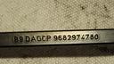DSC08274.JPG