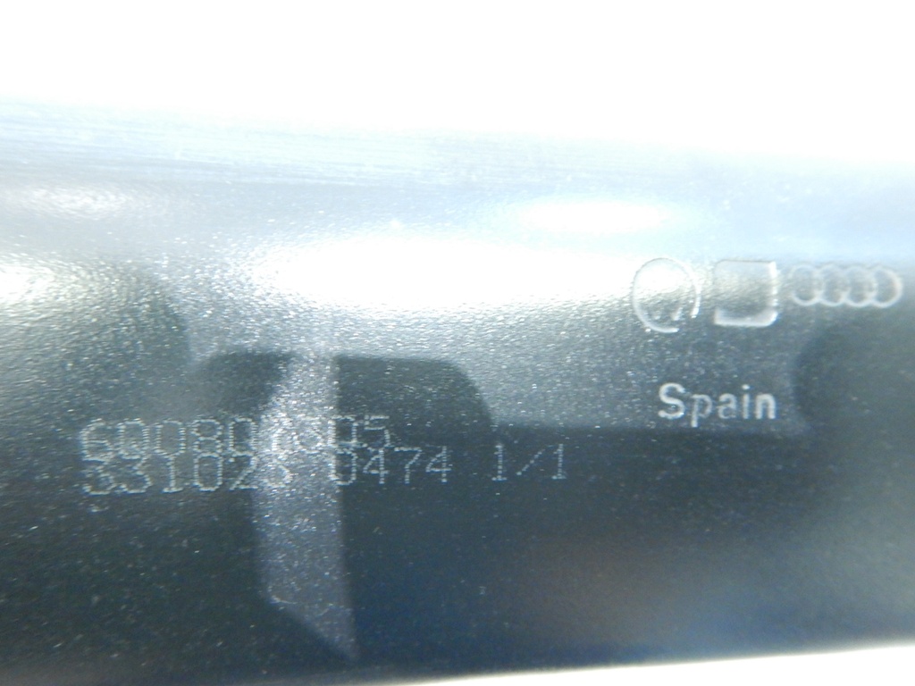 DSCN8815.JPG